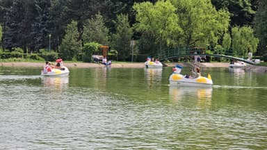 Feerie de culoare și bucurie în Parcul Regele Mihai I din Ploiești de Ziua Copilului