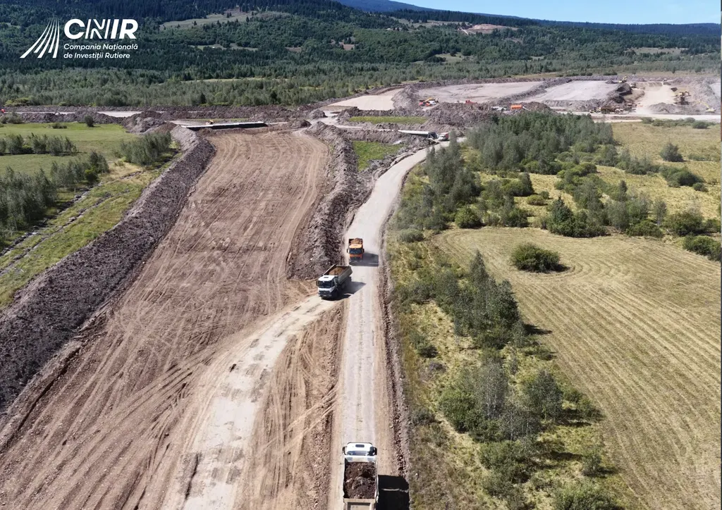 Ilie Oană: mentenanță pe gazon, inclusiv înlocuire pe peste 600 mp la porți